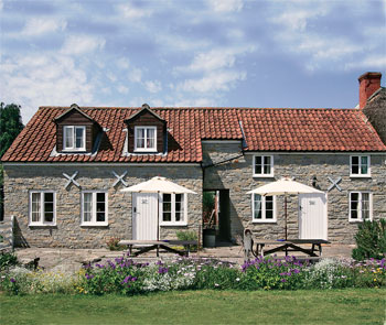 Unbranded Press Bars