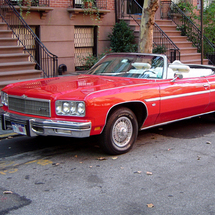 Unbranded Private Chauffeured Tour in a Classic