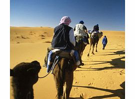 Get ready for a morning trip of excitement and magic as an experienced safari driver takes you on a thrilling journey over the sand dunes deep inside the heart of Arabian Desert. Afterwards enjoy a camel ride and sand boarding over the high dunes.