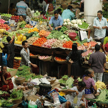 Unbranded PRIVATE TOUR - Full Day Culinary Adventure in