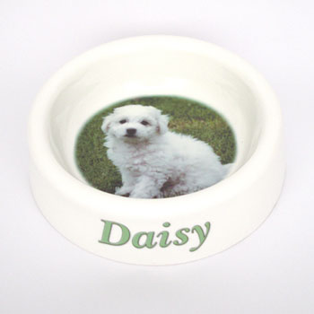 Unbranded Privileged Pets Feeding Bowl