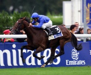 Unbranded Prix de lrc de Triomphe