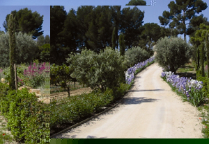 Provence Cookery Course for Two