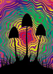 Psychedelic Mushrooms Keyring