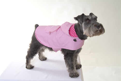 Pucci pac-a-mac dog raincoat
