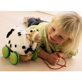 Unbranded Pull-Along Cow