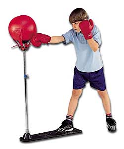 Punchball Stand and Boxing Gloves