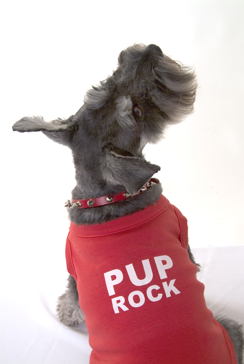 Pup Rock dog tshirt