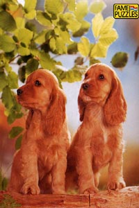 Cardboard jigsaw puzzle