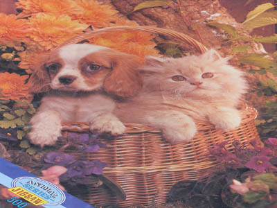 Cardboard jigsaw puzzle