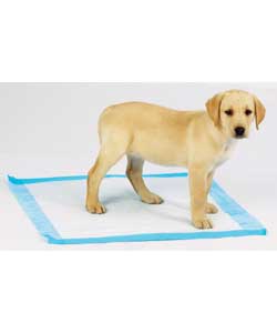 Puppy Housebreaking pads