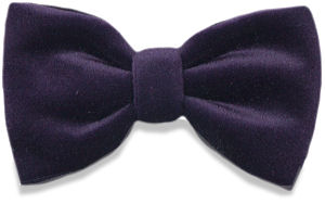 Unbranded Purple Velvet Bow Tie