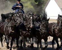 Unbranded Puszta Tour - Child