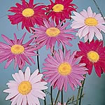 Unbranded Pyrethrum Single Mixed Seeds 427992.htm