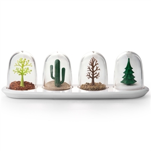 Unbranded Qualy Four Seasons Spice Shakers