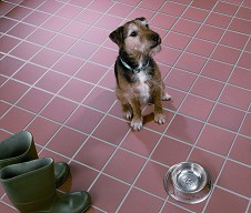 Unbranded Quarry Tiles - Red Wall and Floor Tile (15x15cm)