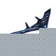 R/C Stealth Bomber