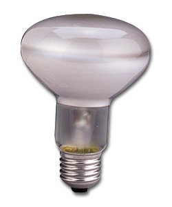 R80 100W ES Reflector Bulbs