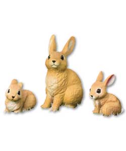 Rabbit Family