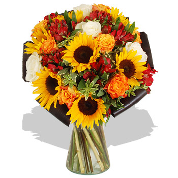 Unbranded Radiance - flowers