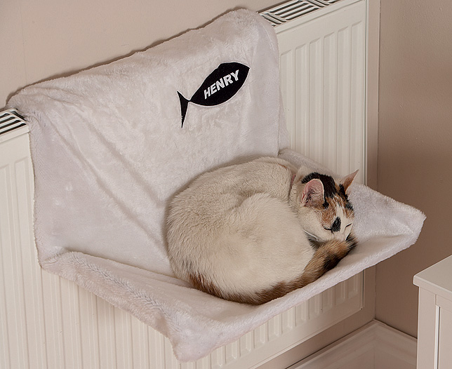 cat radiator bed