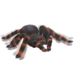 Unbranded Radio Controlled Tarantula
