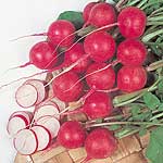 Unbranded Radish Cherry Belle Seeds - Triplepack