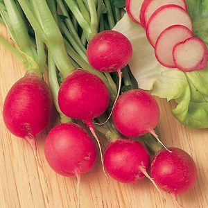 Unbranded Radish Pink Beauty Seeds