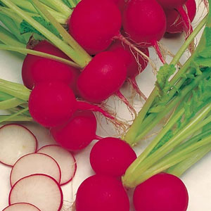 Radish Scarlet Globe Seeds
