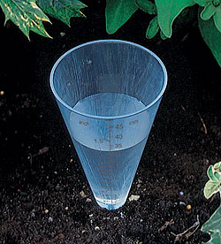 Rainfall Measure