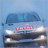 Unbranded Rally Driving at Brands Hatch for Two