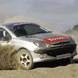 Experience the sheer excitement of rally driving a