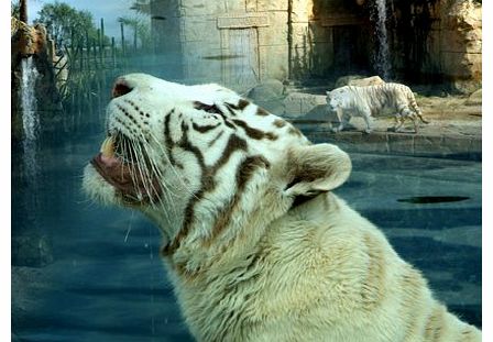 Unbranded Rancho Texas Park