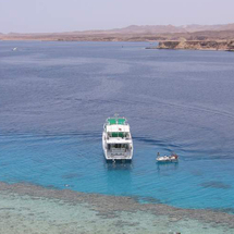 Unbranded Ras Mohammed by Boat - Adult