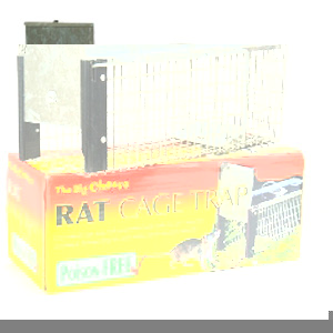 Unbranded Rat Cage Trap