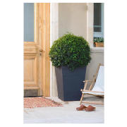 Unbranded Rattan planter large