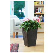Unbranded Rattan planter small