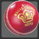 'A' grade cricket ball. Good quality alum