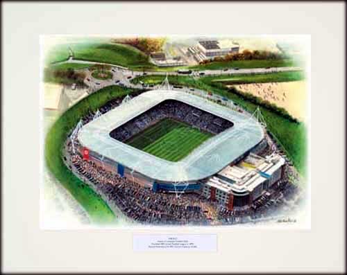 Unbranded Reading Madejski Stadium - Stadium Print