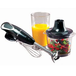 400 watts stick blender with chopper and whisk attachments 2 speeds Stainless steel shaft 