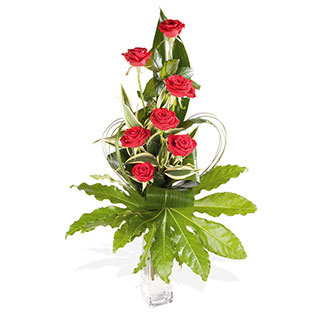 Unbranded Red Arrows