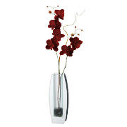 Unbranded Red Orchid In Curved Mirror Vase