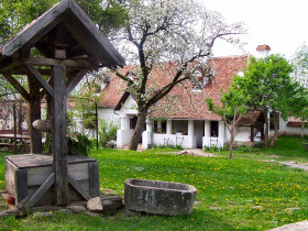 Red Sea diving holidays