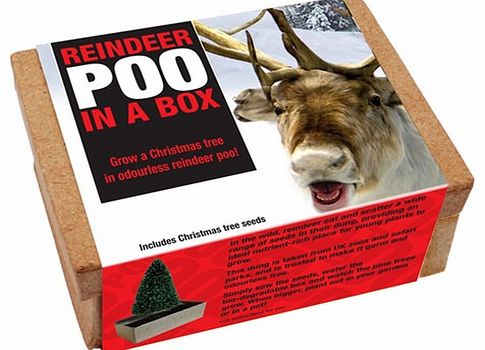 Unbranded Reindeer Poo in a Box