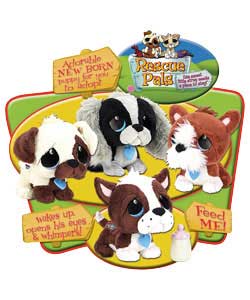 Rescue Pals Just Born