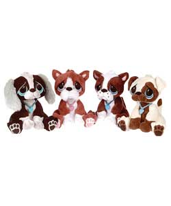 Collectable cuddly dogs to adopt, with sound and action. 4 available, 1 supplied. Colours and style