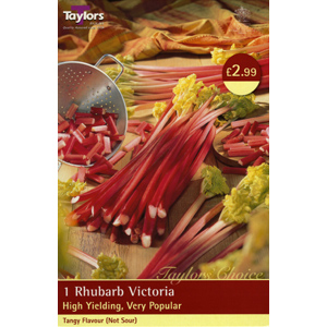 Unbranded Rhubarb Crown Victoria