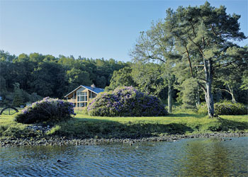 Unbranded River Lodge