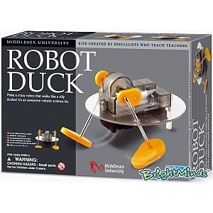 Unbranded Robot Duck