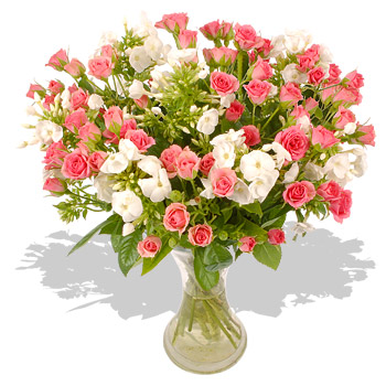 Unbranded Rose and Cream - flowers